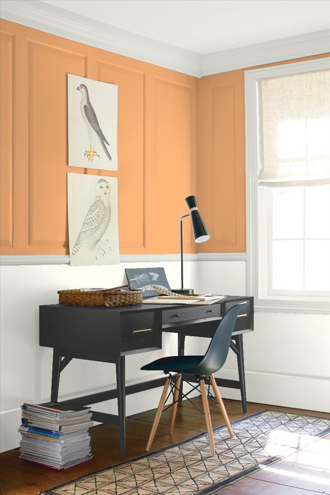 Soft Pumpkin 2166-40 - Benjamin Moore Moldova